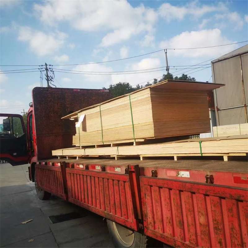 辽宁营口老边至塔城货运专线，一站式物流服务助您成功